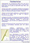 Diapositiva15.JPG (114249 bytes)