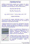 Diapositiva16.JPG (90040 bytes)