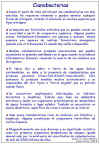 Diapositiva17.JPG (128408 bytes)
