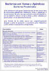 Diapositiva27.JPG (126476 bytes)