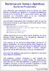 Diapositiva29.JPG (116484 bytes)