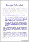 Diapositiva2.JPG (94524 bytes)