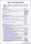 Diapositiva33.JPG (124107 bytes)