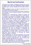Diapositiva34.JPG (147452 bytes)