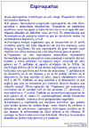 Diapositiva44.JPG (147853 bytes)