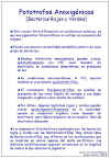 Diapositiva4.JPG (98798 bytes)