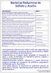 Diapositiva52.JPG (130167 bytes)