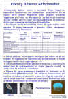 Diapositiva62.JPG (129618 bytes)
