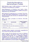 Diapositiva6.JPG (105882 bytes)