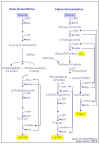 Diapositiva76.JPG (57662 bytes)