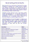 Diapositiva7.JPG (115620 bytes)