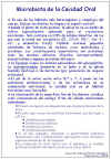 Diapositiva4.JPG (120193 bytes)