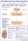 Diapositiva5.JPG (92905 bytes)