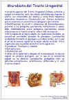 Diapositiva7.JPG (108317 bytes)