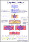 Diapositiva8.JPG (76927 bytes)