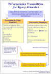 Diapositiva10.JPG (83454 bytes)