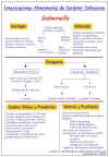 Diapositiva12.JPG (89770 bytes)