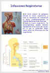Diapositiva1.JPG (74241 bytes)