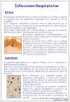 Diapositiva3.JPG (117477 bytes)