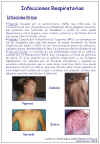 Diapositiva6.JPG (94537 bytes)