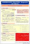 Diapositiva10.JPG (108829 bytes)