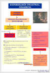 Diapositiva1.JPG (77608 bytes)
