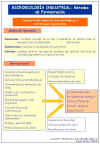Diapositiva6.JPG (82425 bytes)