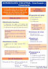 Diapositiva8.JPG (98426 bytes)