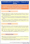 Diapositiva11.JPG (101032 bytes)