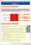 Diapositiva2.JPG (95889 bytes)