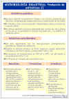 Diapositiva6.JPG (111827 bytes)