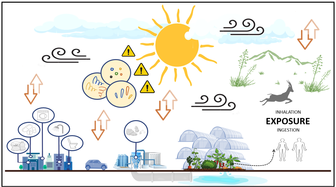 education online books