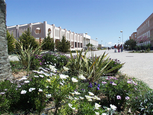 Biblioteca Universitaria