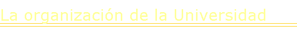 La organizaci�n de la Universidad