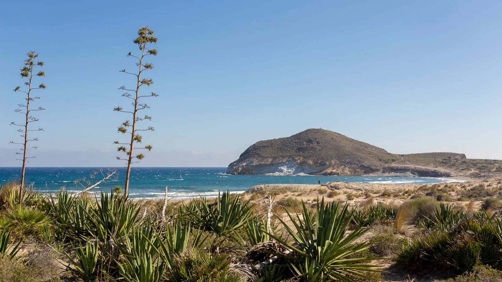 Genoveses Beach