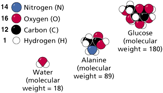 Details about   Porter Atomic Molecular Valence & Formula Illustrators Atoms & Molecules 