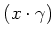 $ (x\cdot\gamma)$