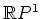 $ \mathbb{R}P^1$