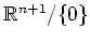 $ \mathbb{R}^{n+1}/\{0\}$