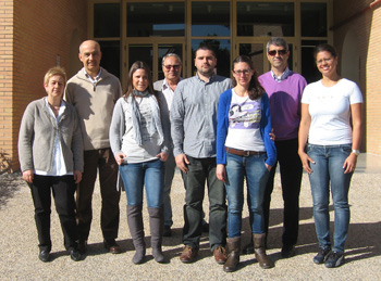 FQM267 group members