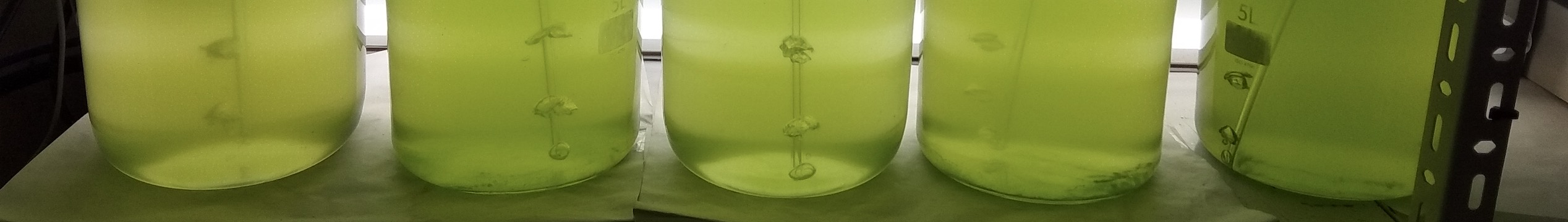 Gas cylinders
