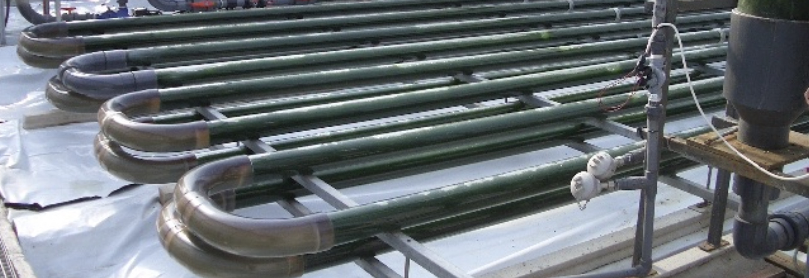 Dual-loop TFBR