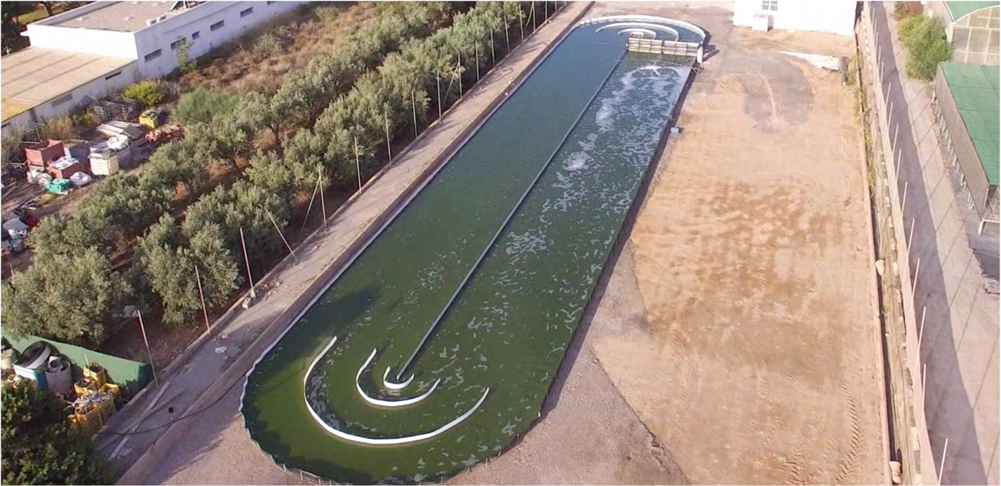 50000 litre Raceway PBR