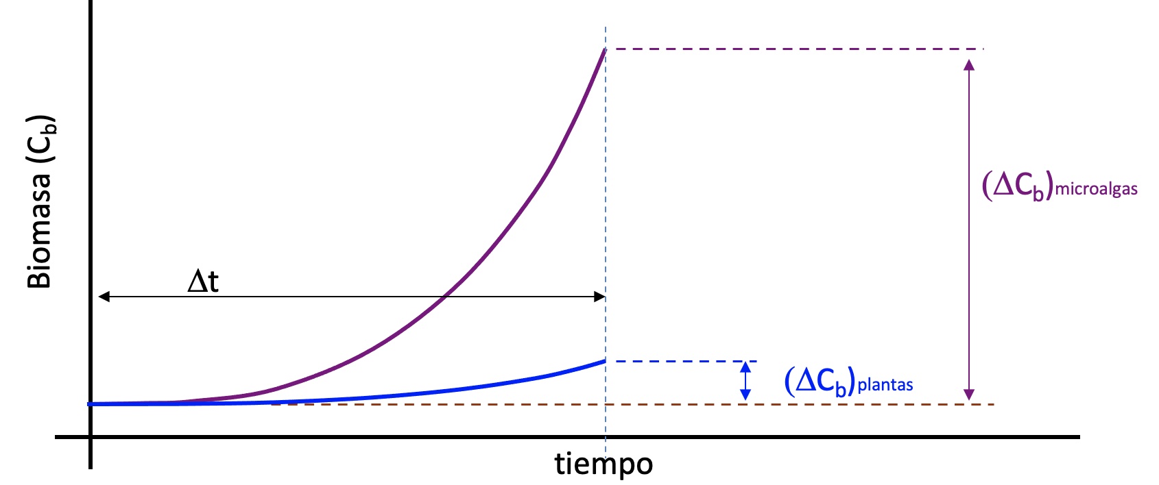 Crecimiento de microalgas
