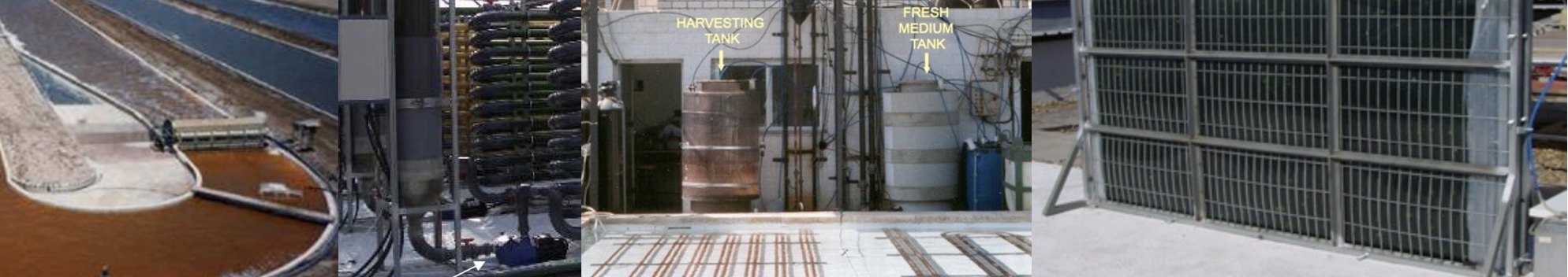 Crecimiento de microalgas