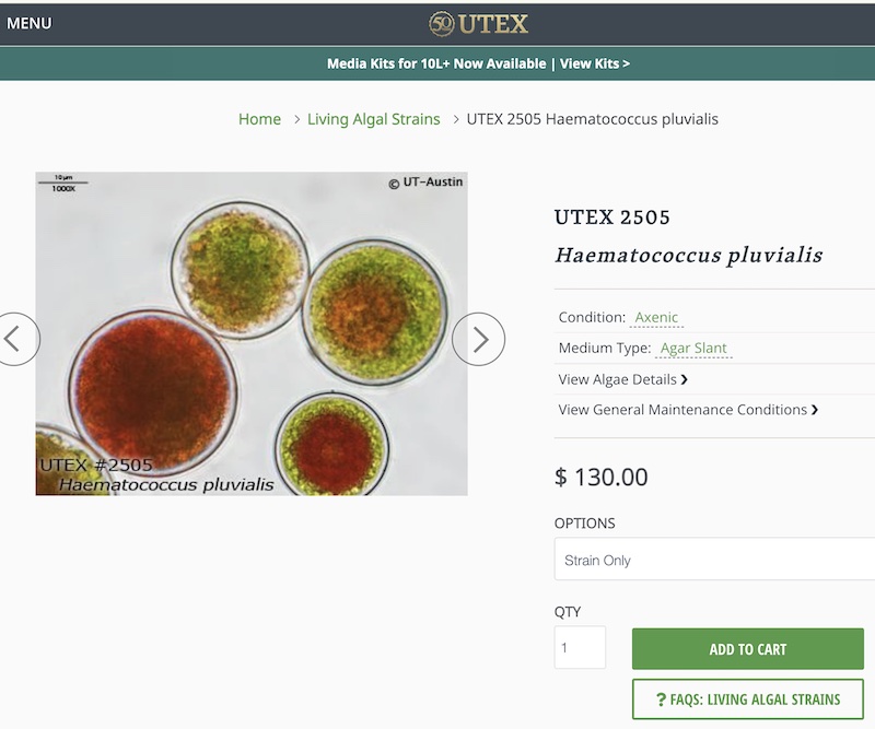 UTEX Checkout