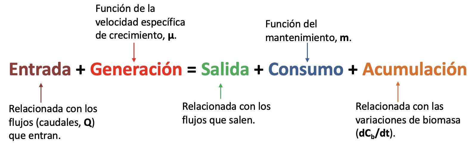 Descripción
