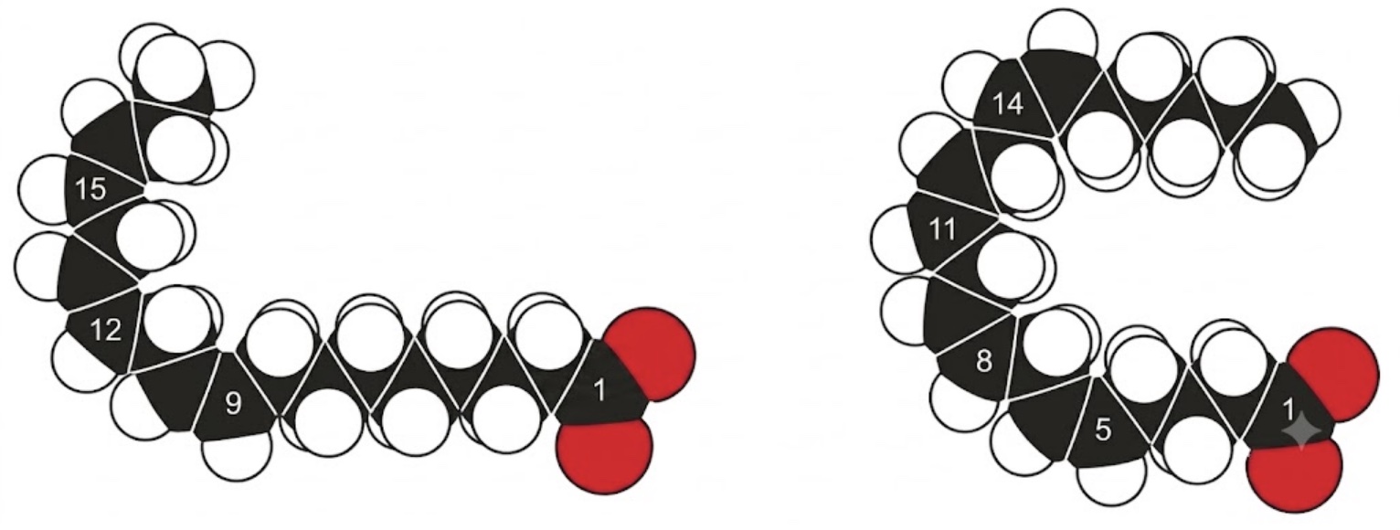 Extracción y purificación de luteína a partir de biomasa de microalgas.