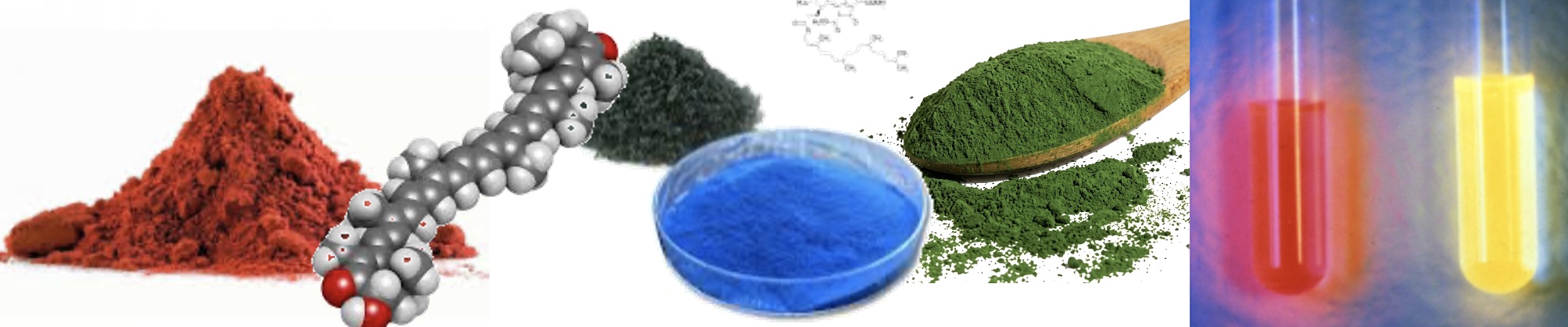 Biorreactores para el procesado de biomasa.