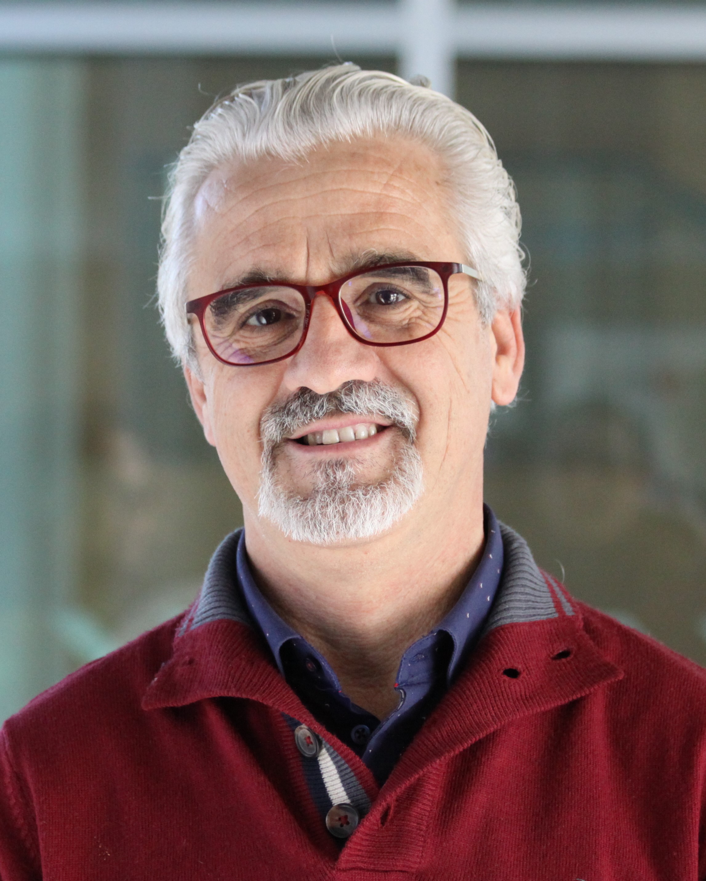 Manuel Gmez Cmara